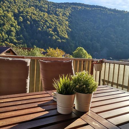 Miro Apartament Sinaia Eksteriør bilde