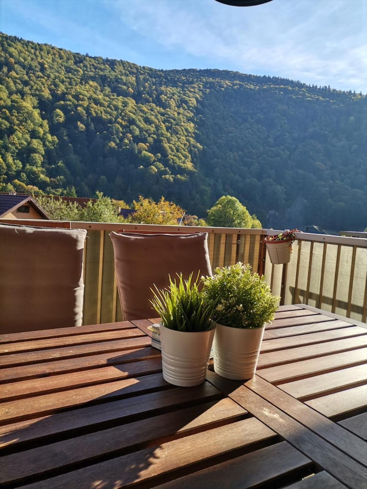 Miro Apartament Sinaia Eksteriør bilde