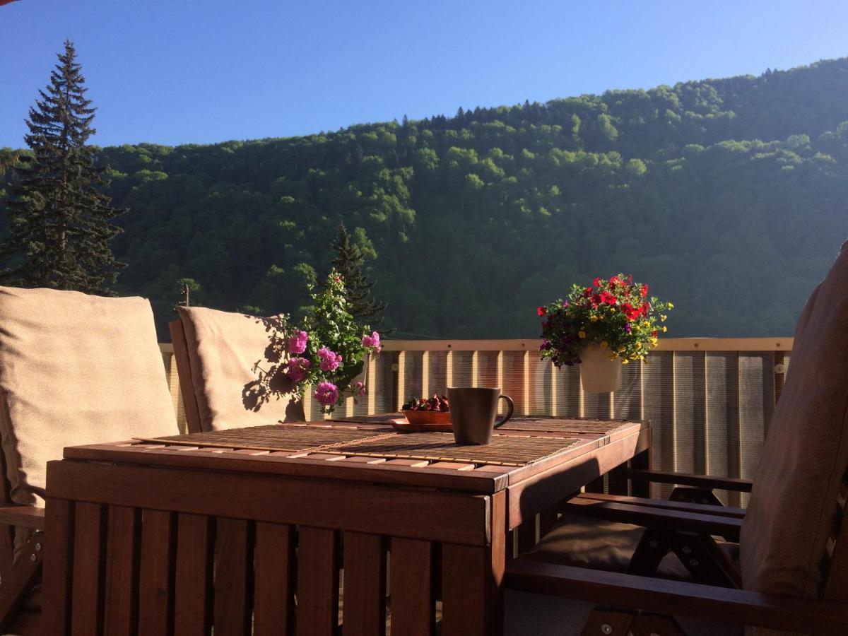 Miro Apartament Sinaia Eksteriør bilde