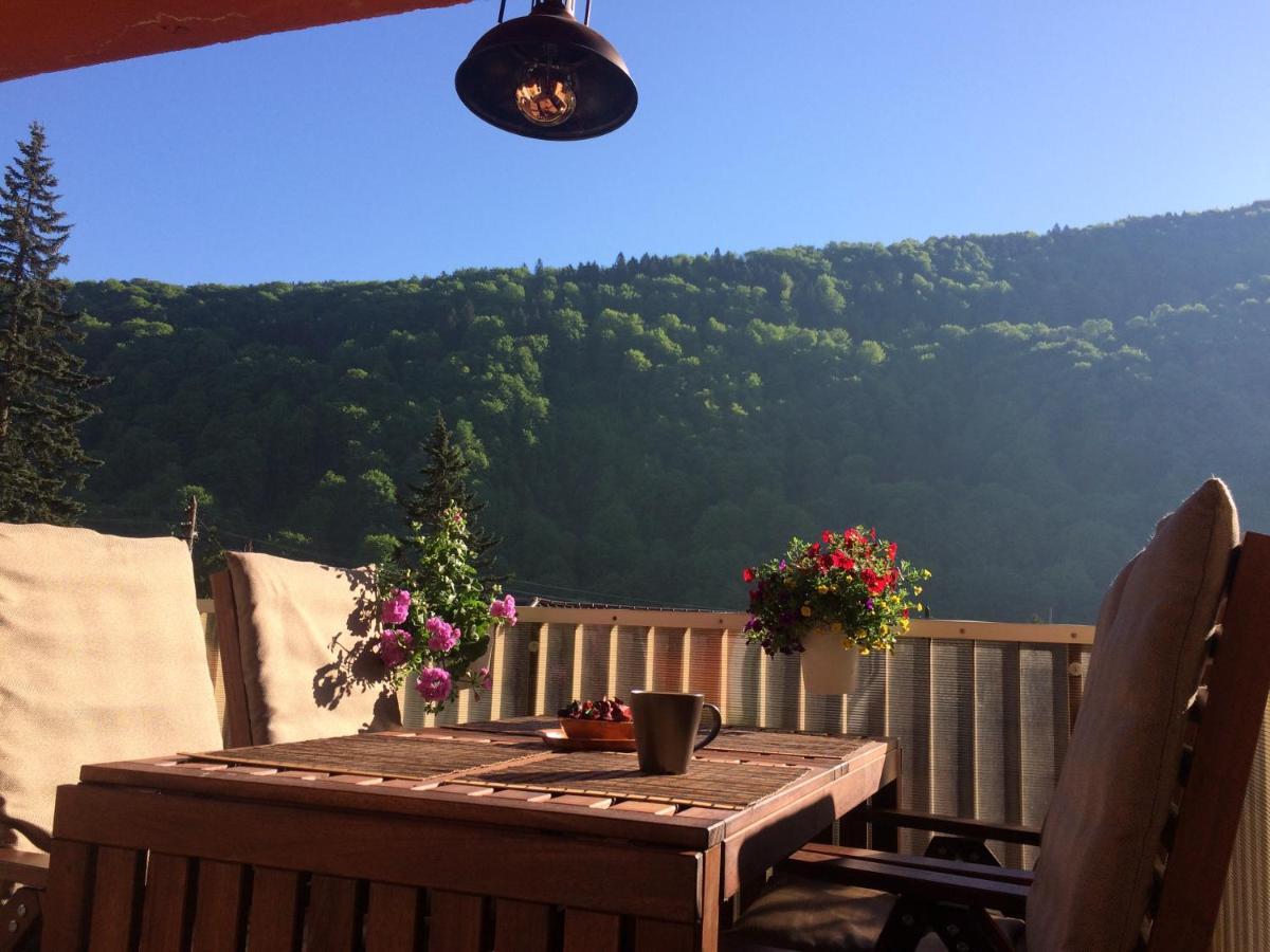 Miro Apartament Sinaia Eksteriør bilde